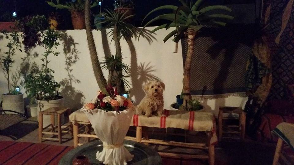Foutour Sarir Riad Agadir