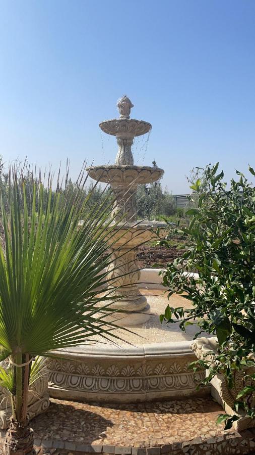 La Vida Farm stay