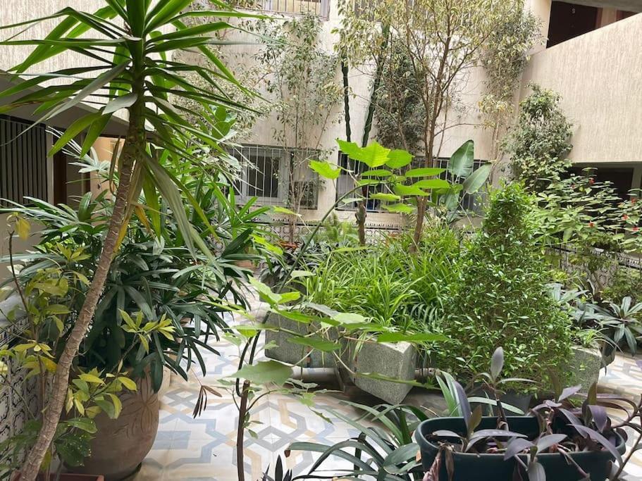 Au Hyper Centre Cosy Et Typique Apartment