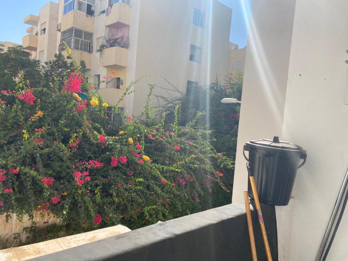 Modest Agadir