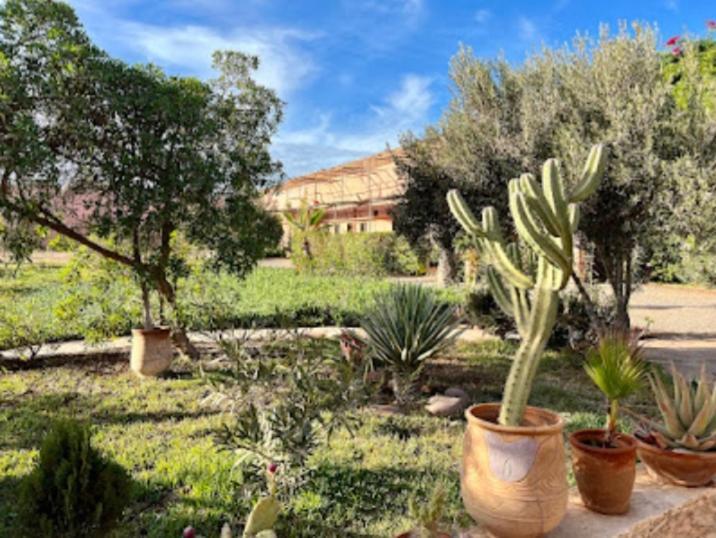 Homestay Maison Marocaine Agadir