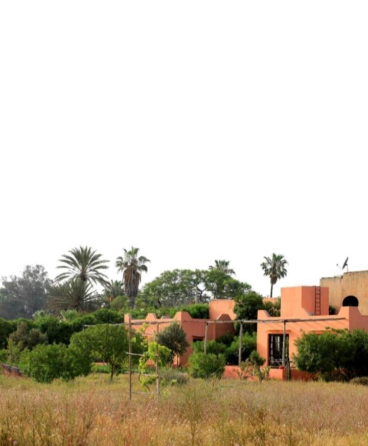 Maison Marocaine * Agadir