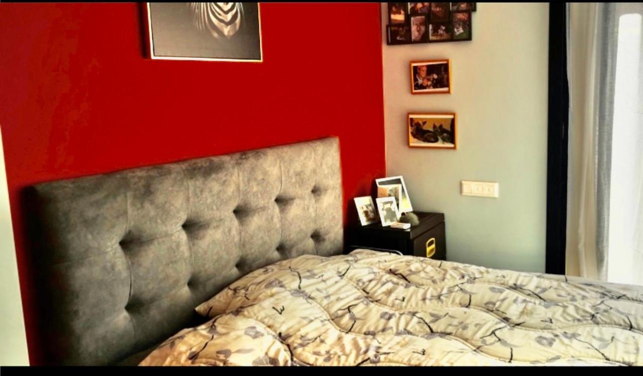 Shemsy Villa Agadir