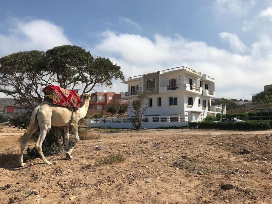Apartment A7 Maison Blanche Imi Ouaddar