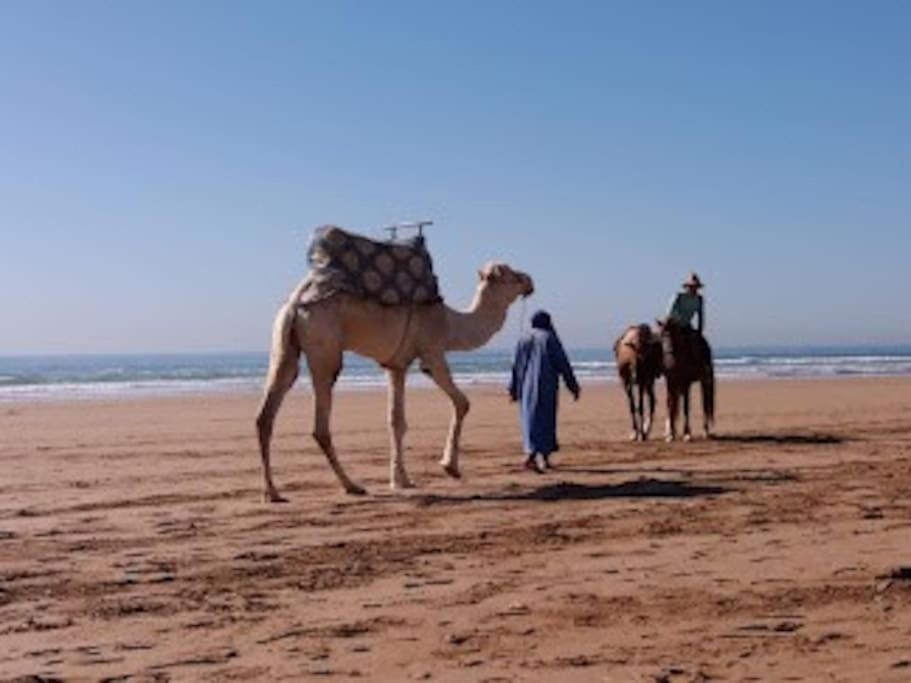 A7 Maison Blanche Imi Ouaddar Agadir