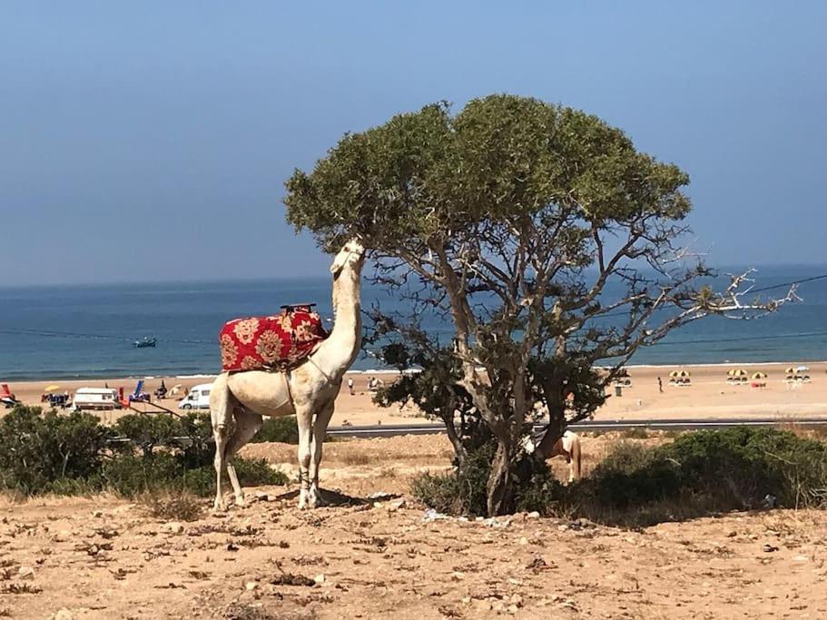 Apartment A9 Bel Vue Sur La Agadir