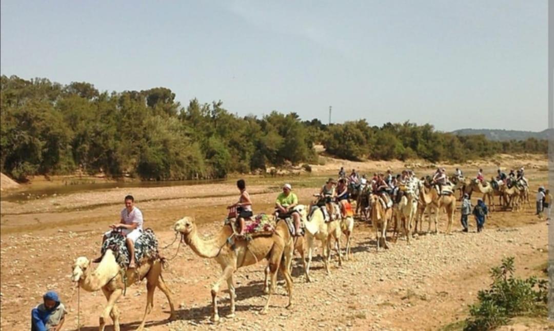 Accommodatie bij particulieren Riad B&B Agadir