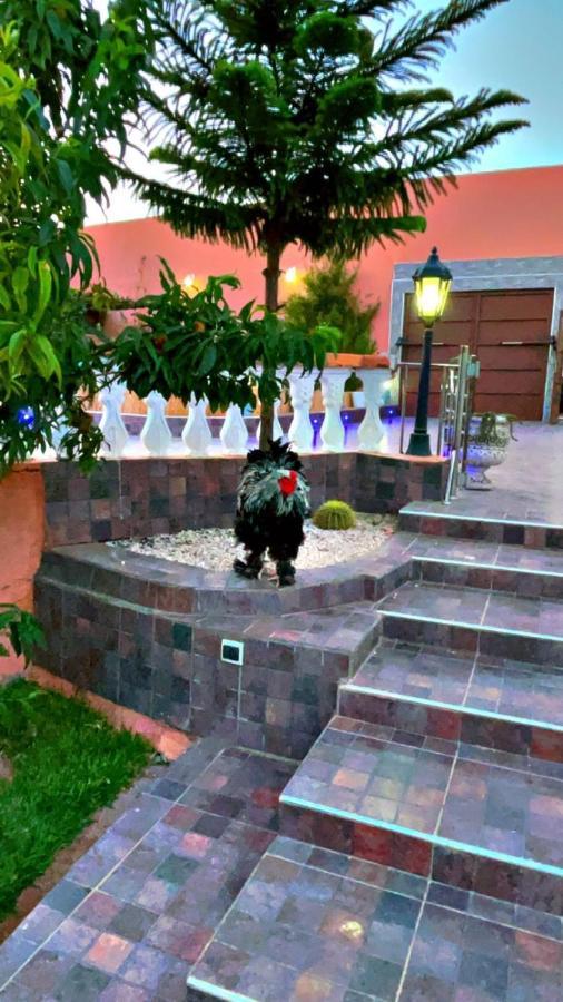 Guest house Riad Dar Salam *