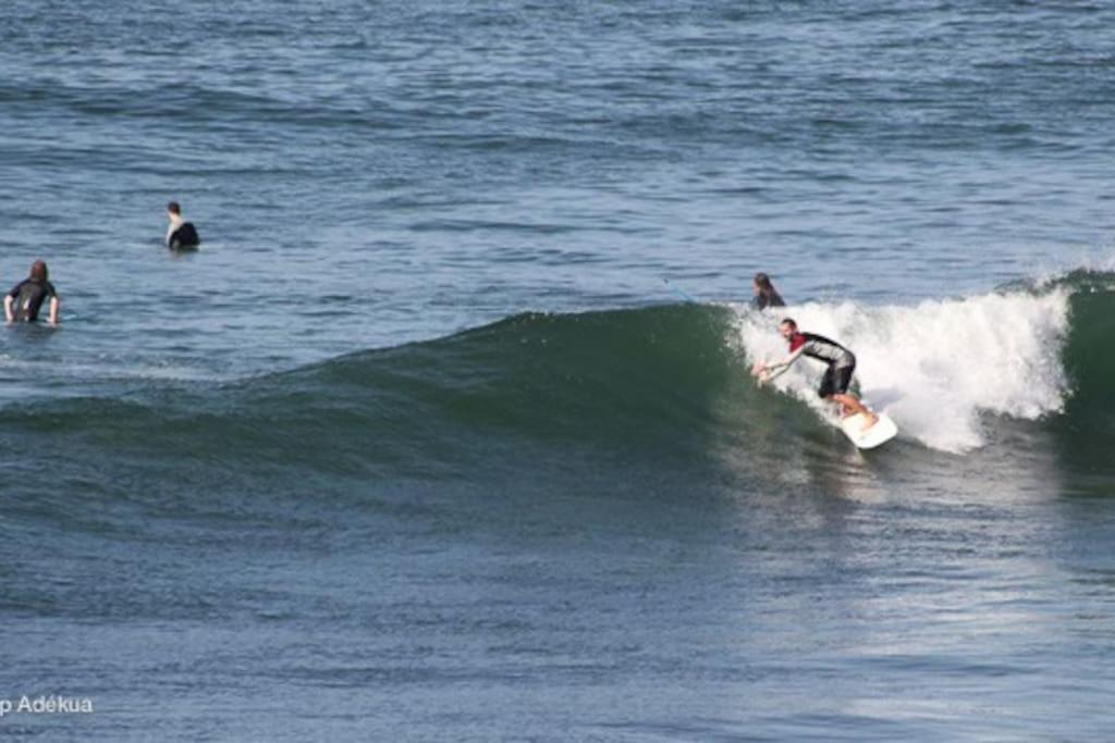 L'echo Des Vagues - Taghazout * Agadir