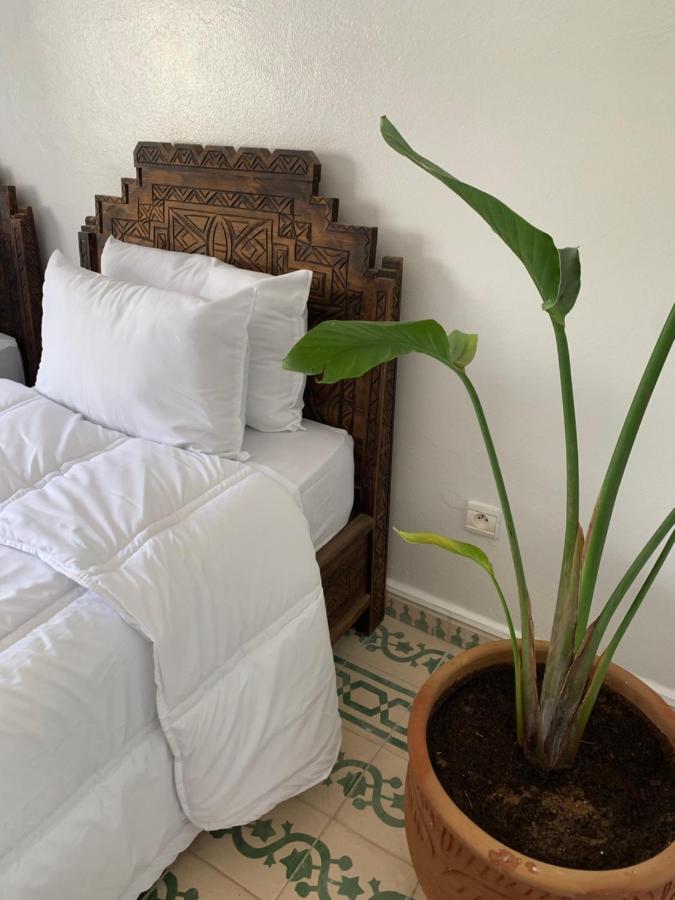 Bed & Breakfast Darna Surfhouse Tamraght