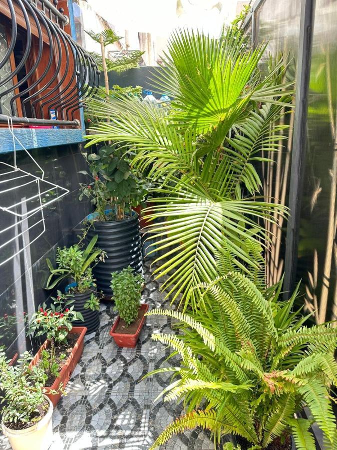 Sidi Youssef Apartment