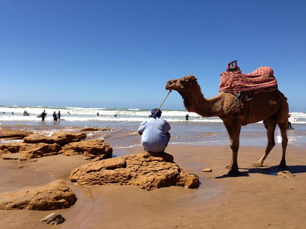 Surf Lessons Experience With Hassi *
