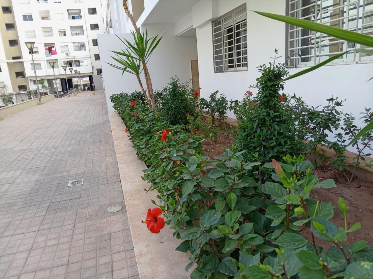 Holikeys - - 1 Ch - Islan 011 Agadir