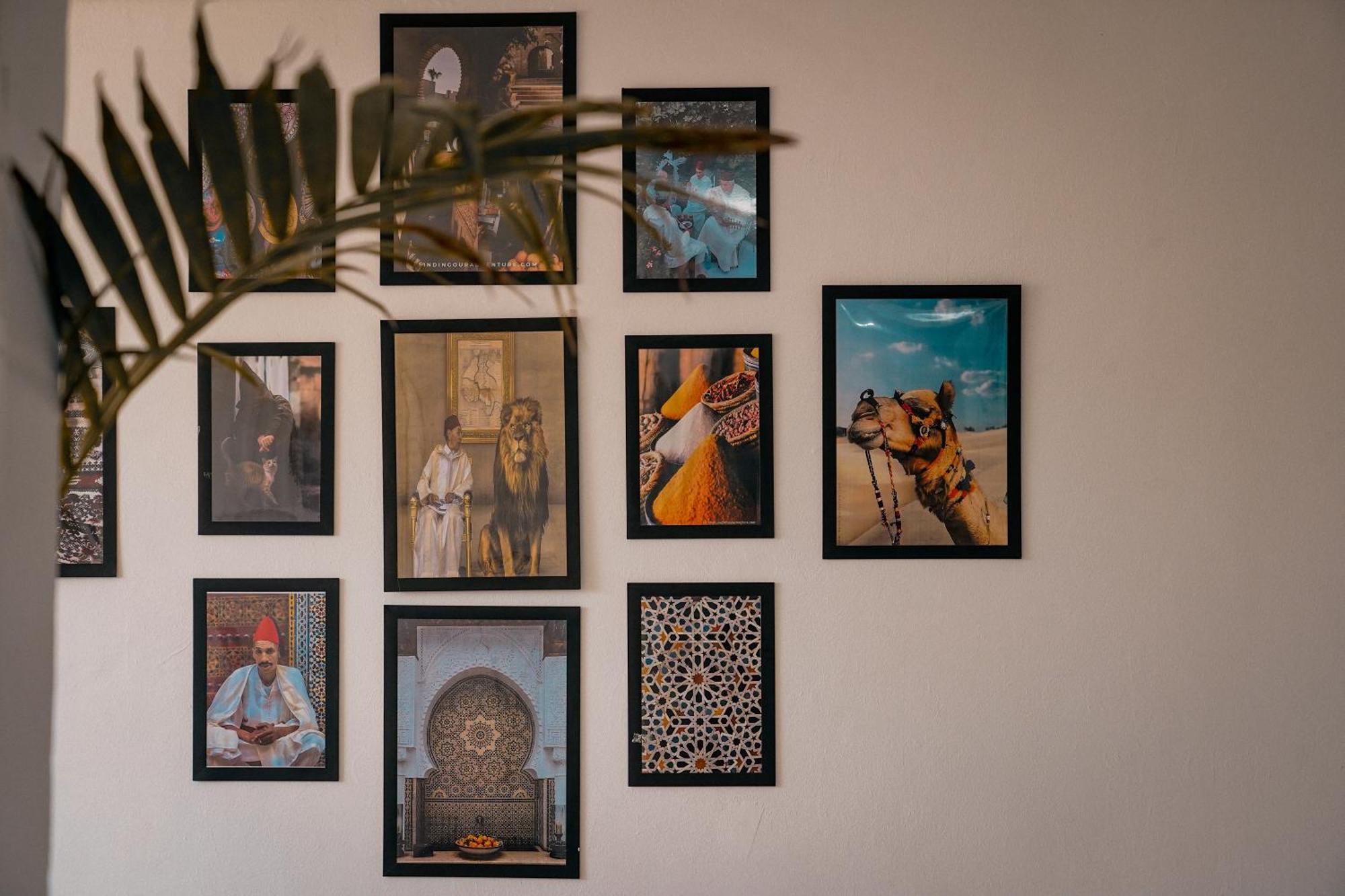Soul Surf House Anza Hostel *