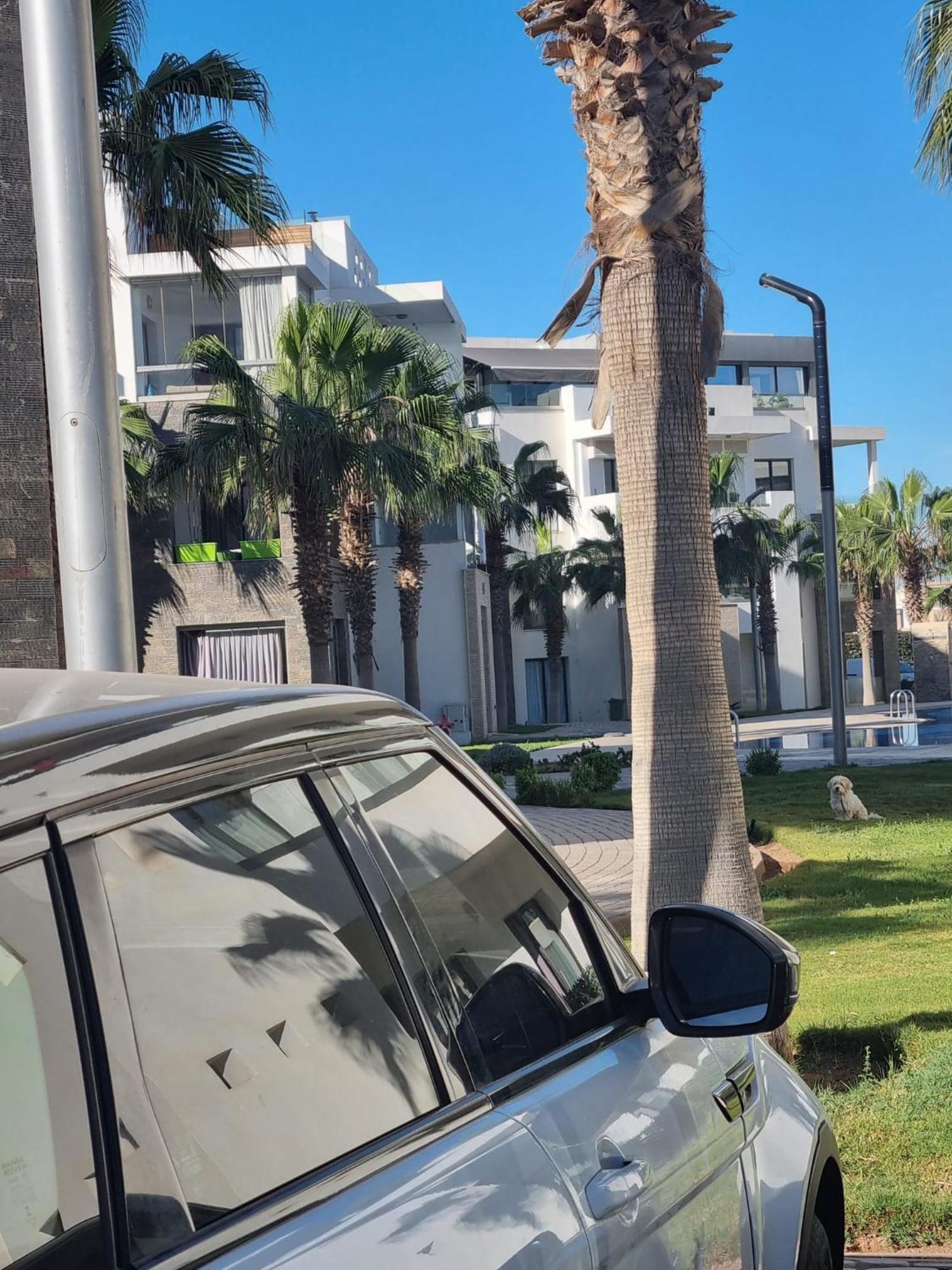 Apartment La Perle Du Sud