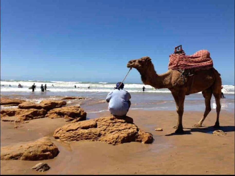 هادئ وفي جانب شاطئ Apartment