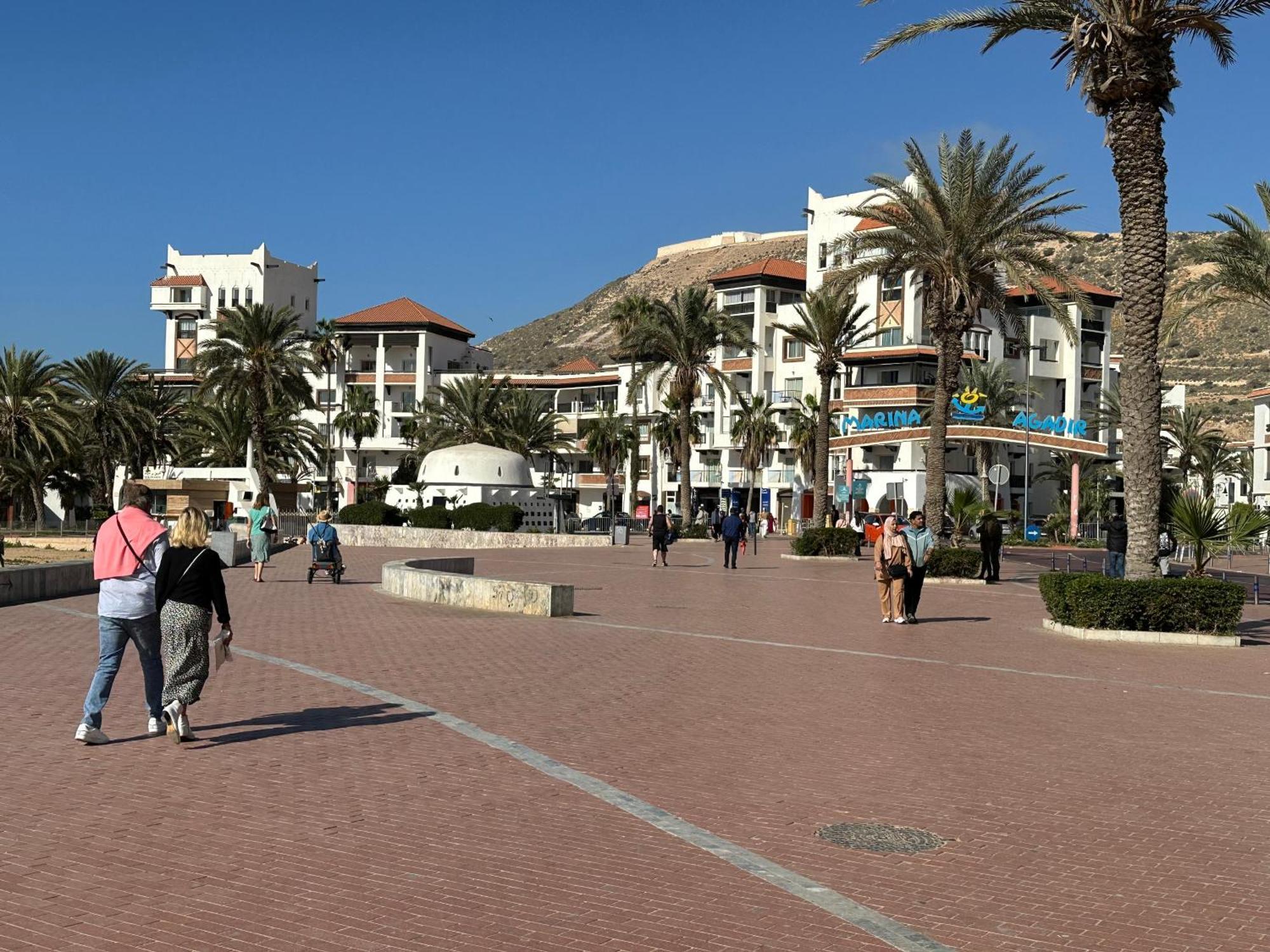 Palmera Marina