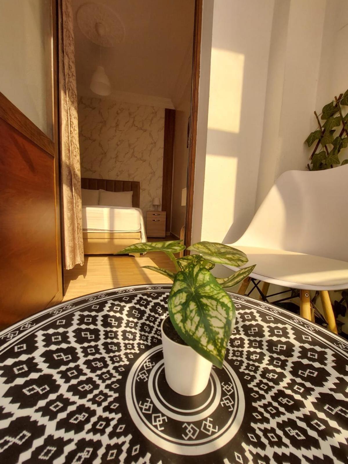 Apartment Charite Host , Wifi Et Parking Gratuit