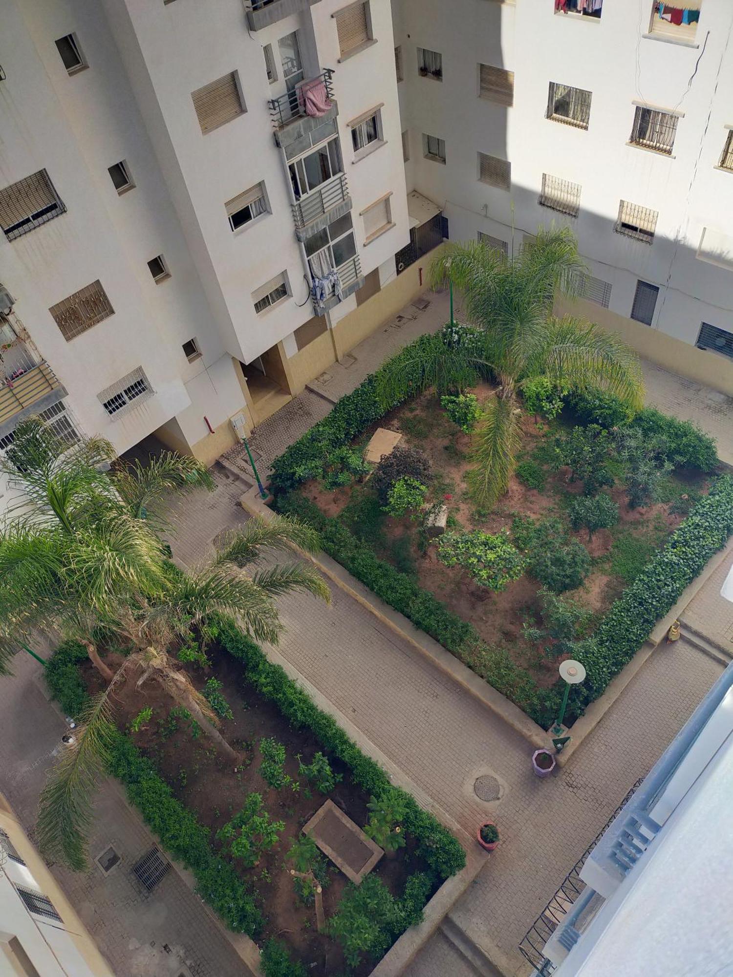 Apartment Begonia House