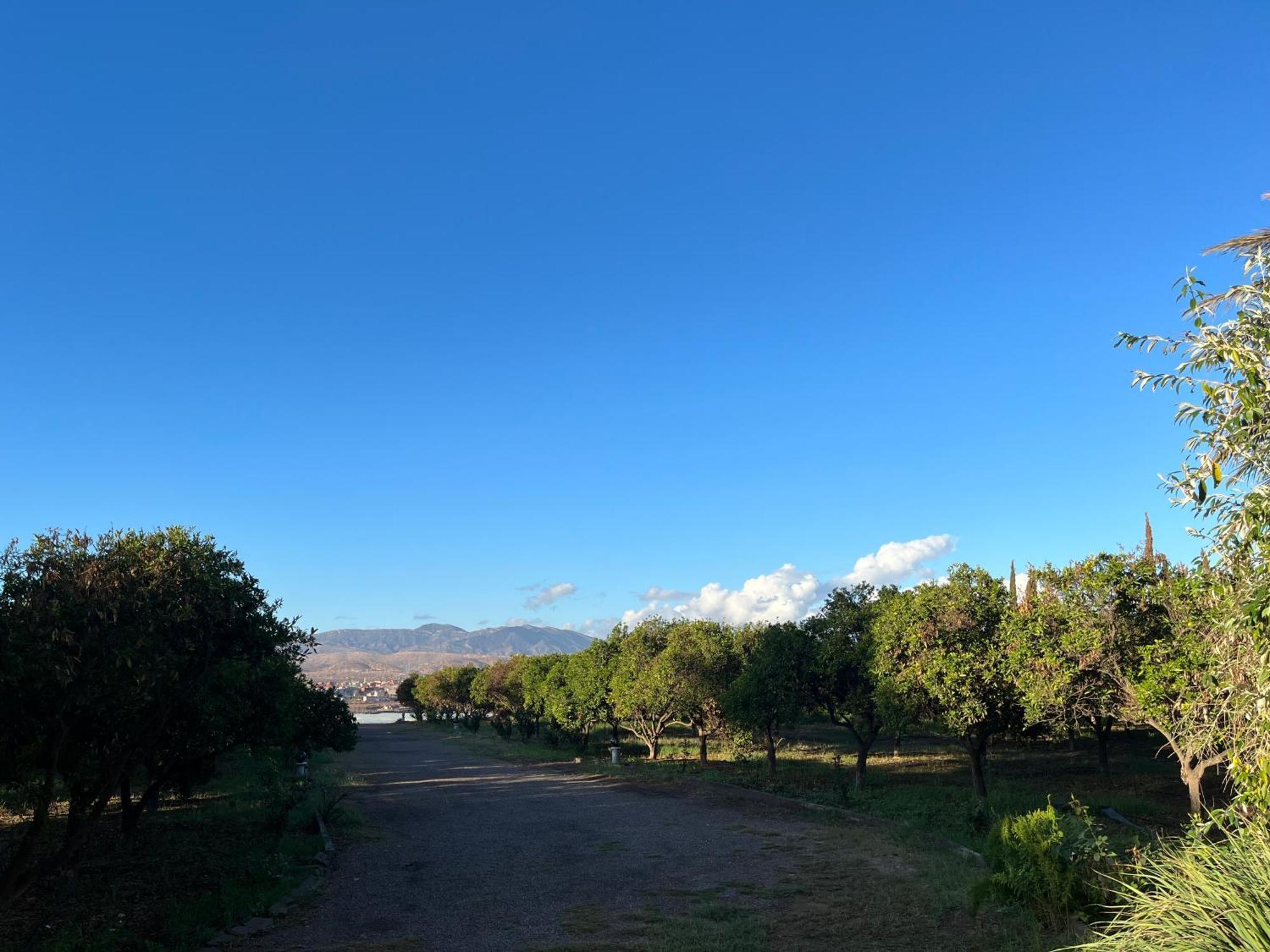 Tiguimi Vacances - Oasis Villas, Cadre Naturel Et Vue Montagne Agadir