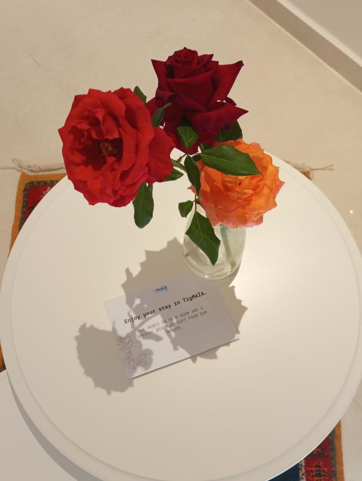 Hotel Tigmaia In For Traditional Art And Culture Agadir