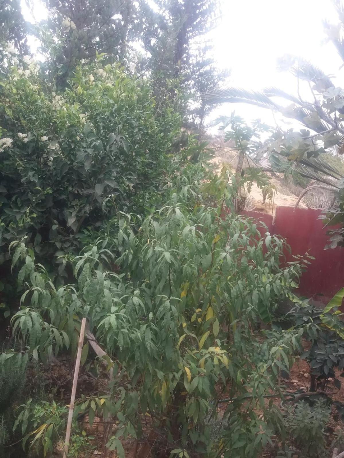 Chez Fatima * Agadir