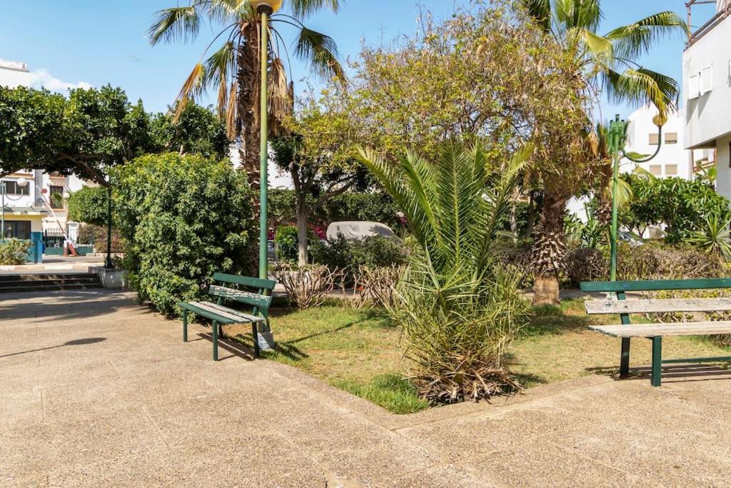 Chaleureux Et Calme, Parking, Jardin Appartement