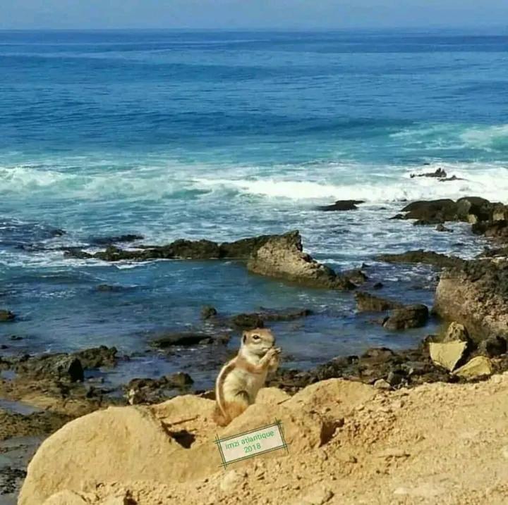 Timlaline Zawl * Agadir