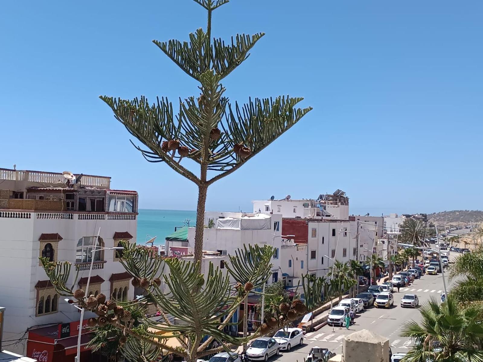 Taghazout Appartement Agadir