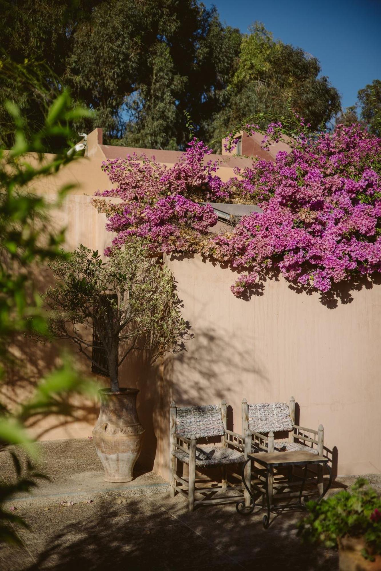 Bed & Breakfast Dar Maktoub