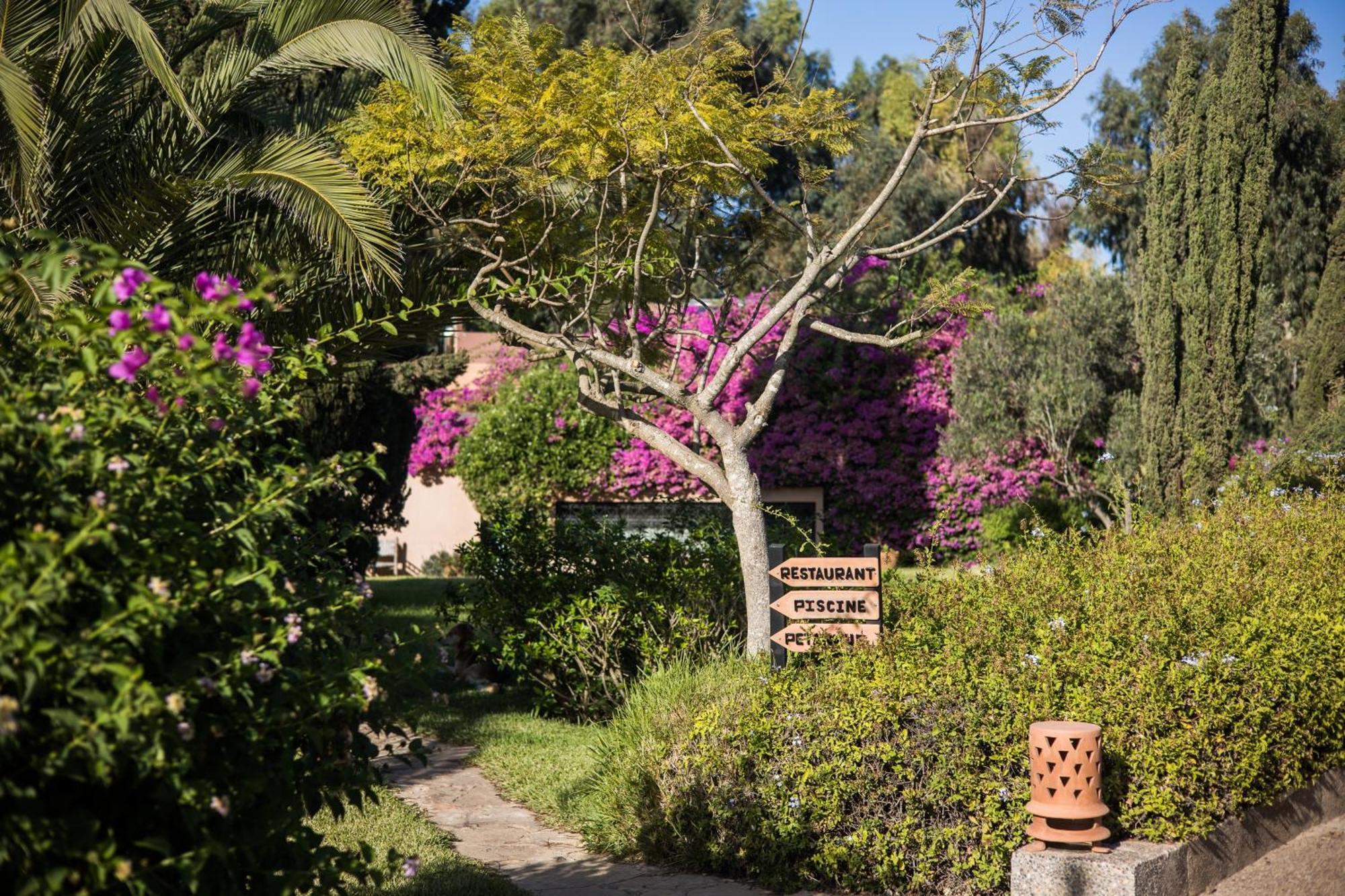 Bed & Breakfast Dar Maktoub