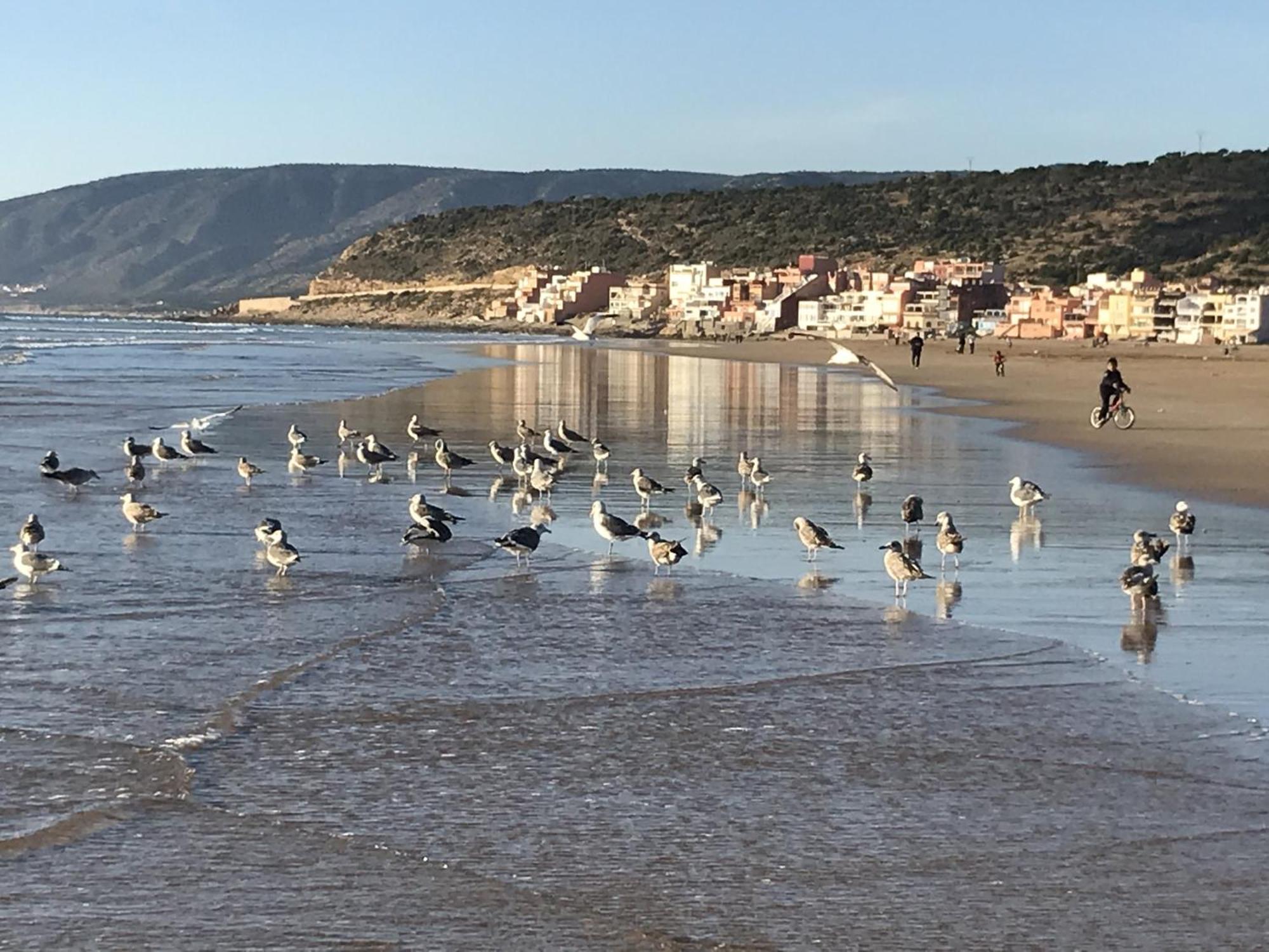 A10 Vue A 200m De La * Agadir