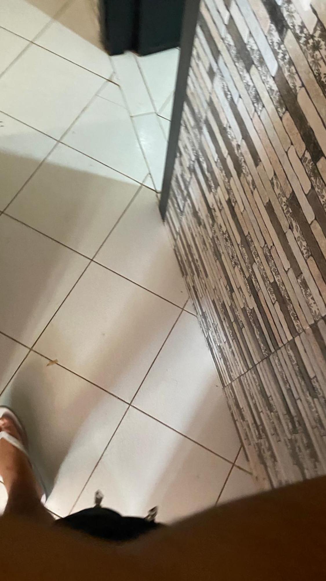 Apartment Location Adrar *