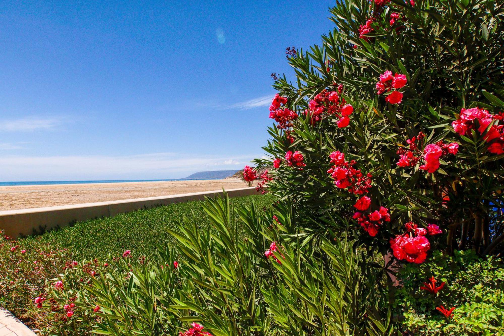 Bel Horizon - Luxe - Piscine - 8 Or 9 Px Apartment Agadir