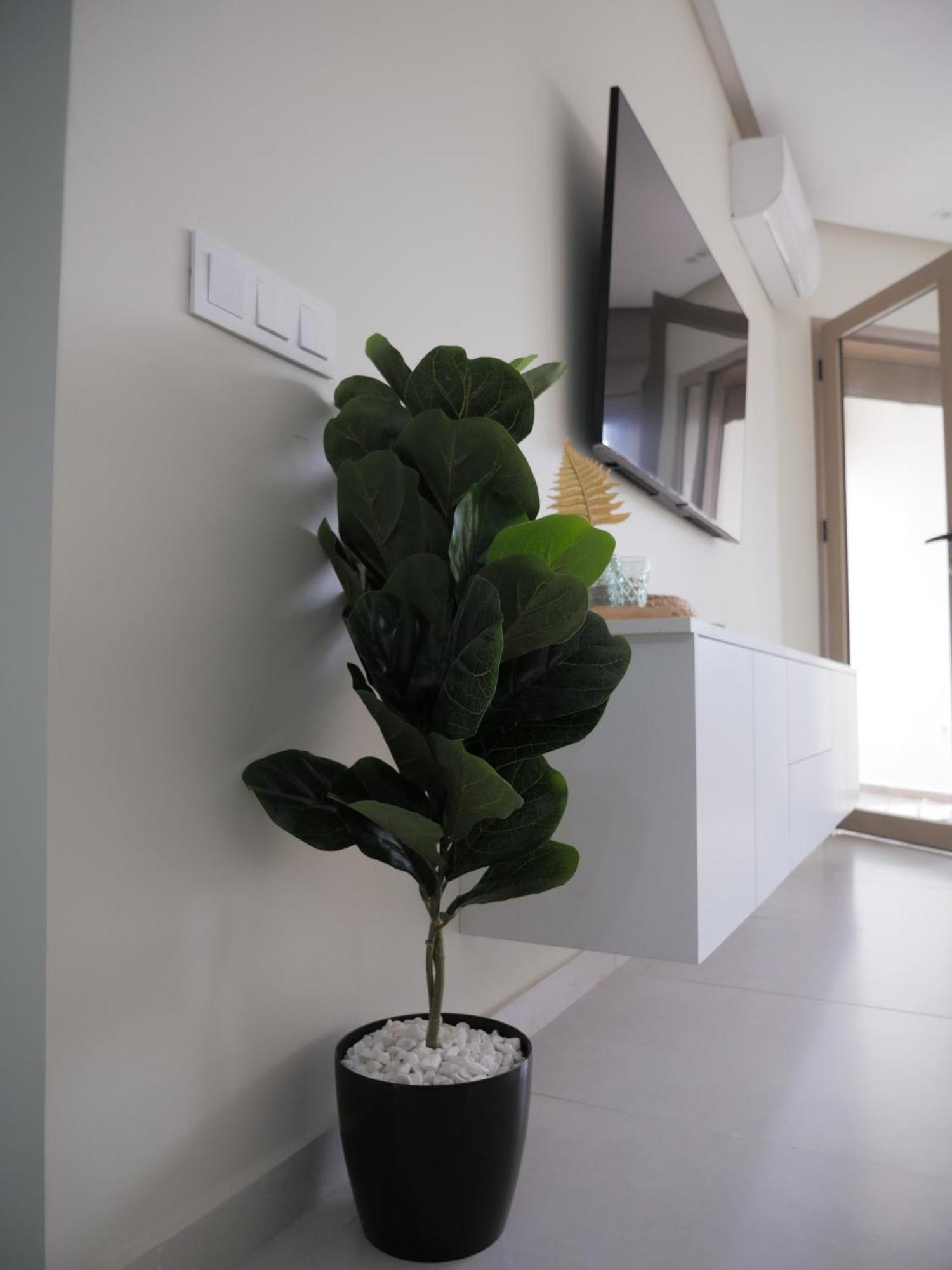 Vue Ocean Apartment *