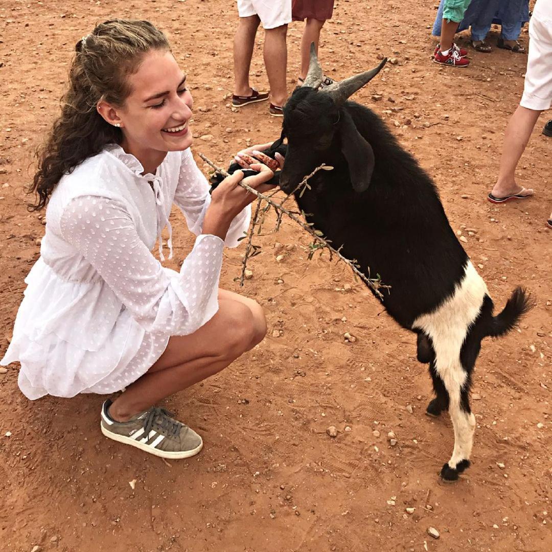 Apartment Goats On Argan Trees Experience In *