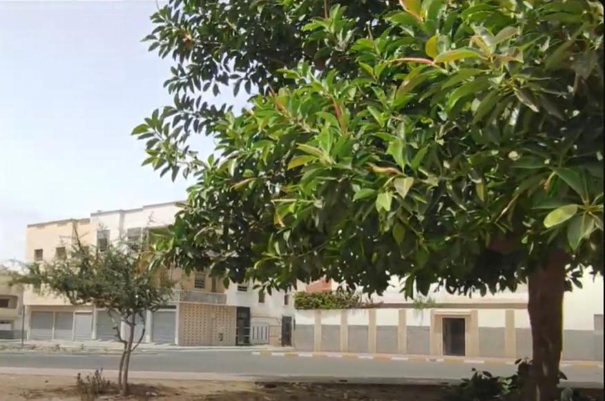 Anouar Souss * Agadir