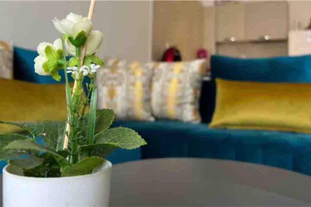 Superbe Avec Piscine Apartment