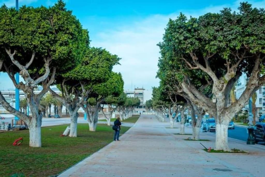 Luxueux & Chic Au Coeur D'agadir *
