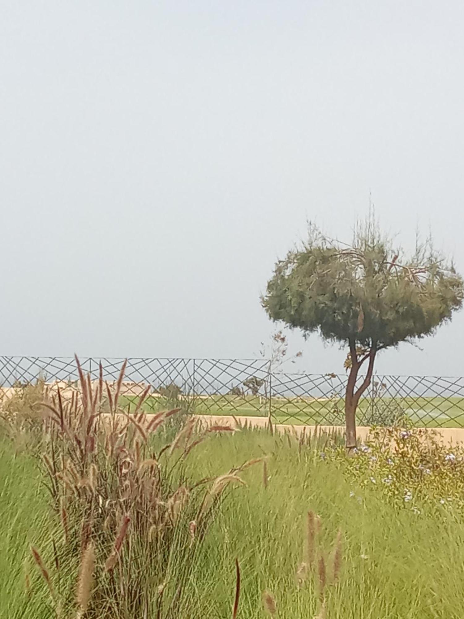 A Taghazout Bay &2 Piscine *