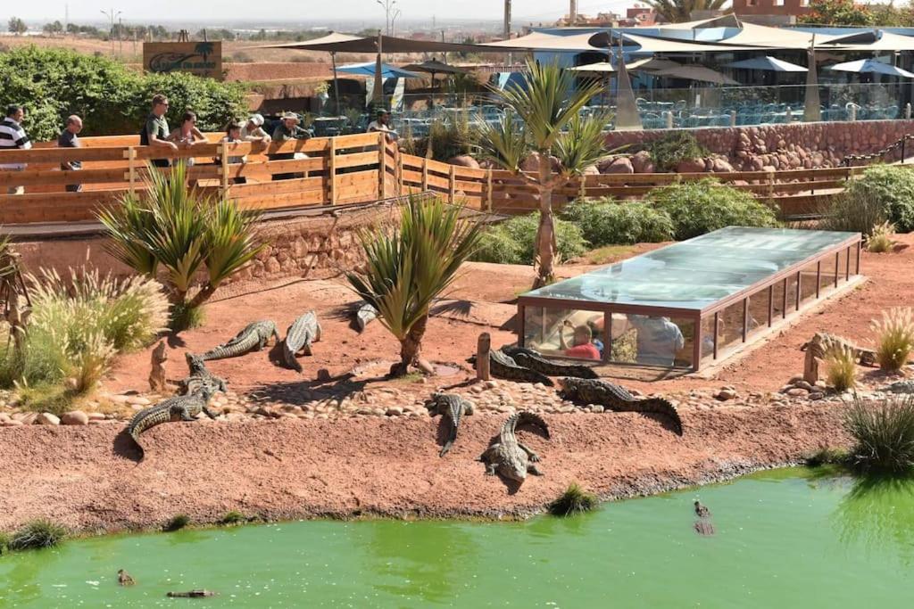 Apartment Belle Calme 10 Min Agadir