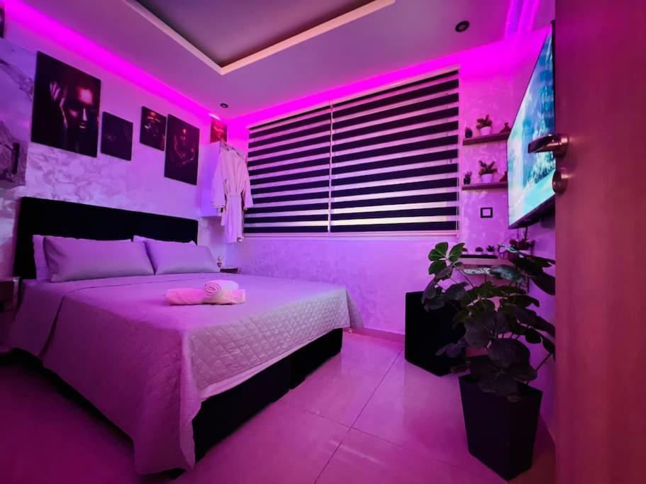 Oasis Luxe 1br With Sunny Pool Agadir