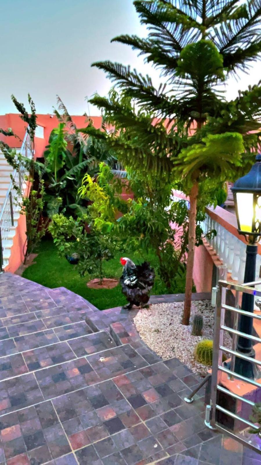 Riad B&B Accommodatie bij particulieren Agadir