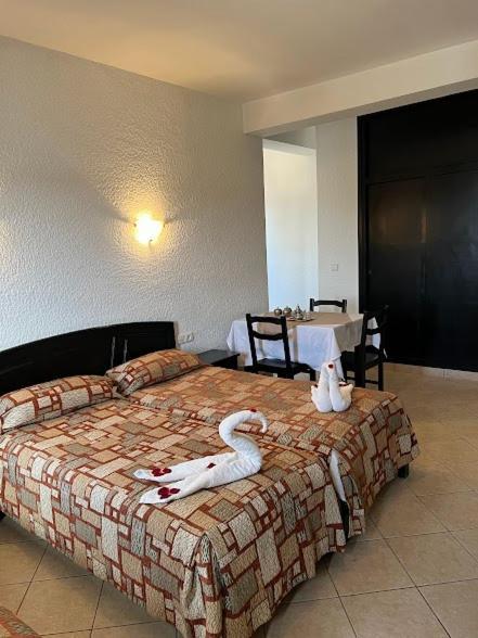 Studiotel Afoud Hotel 3*