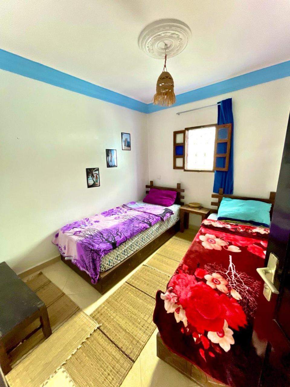 Binic Surf House Homestay