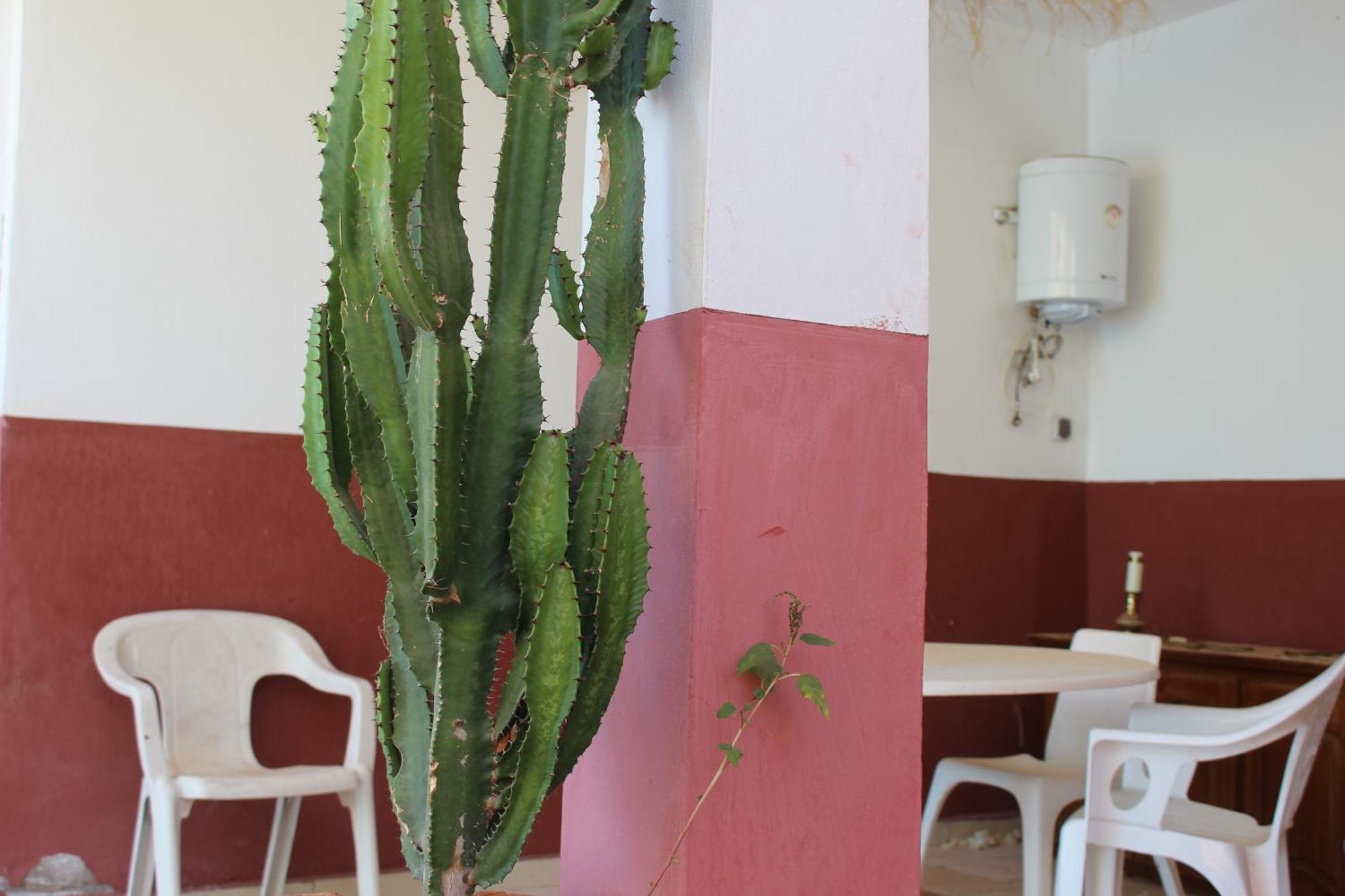 Vakantiehuis Sea And Sun A Agadir