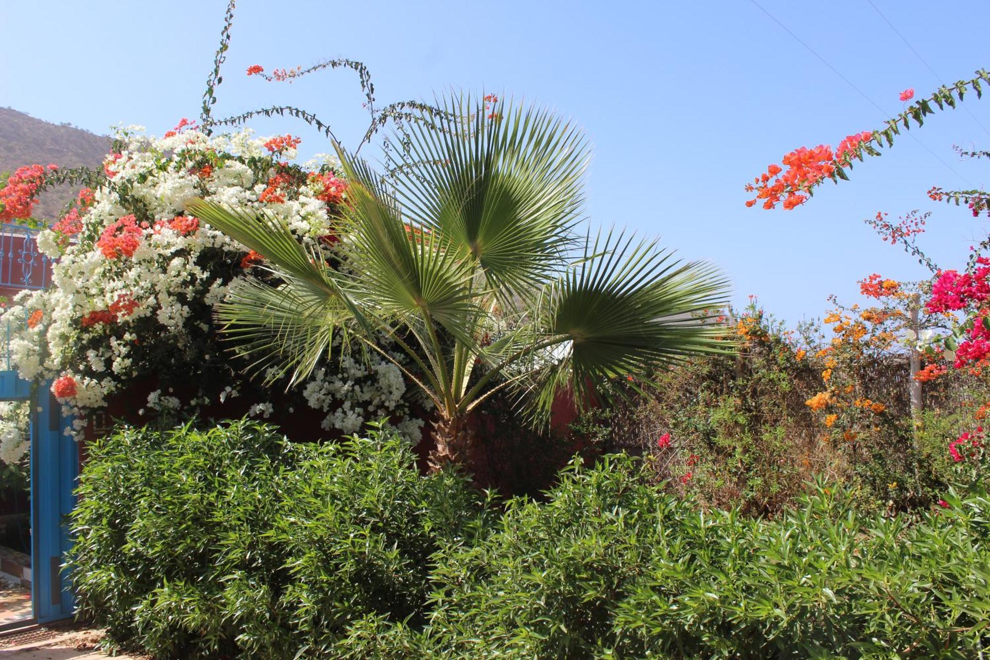 Vakantiehuis Sea And Sun A Agadir