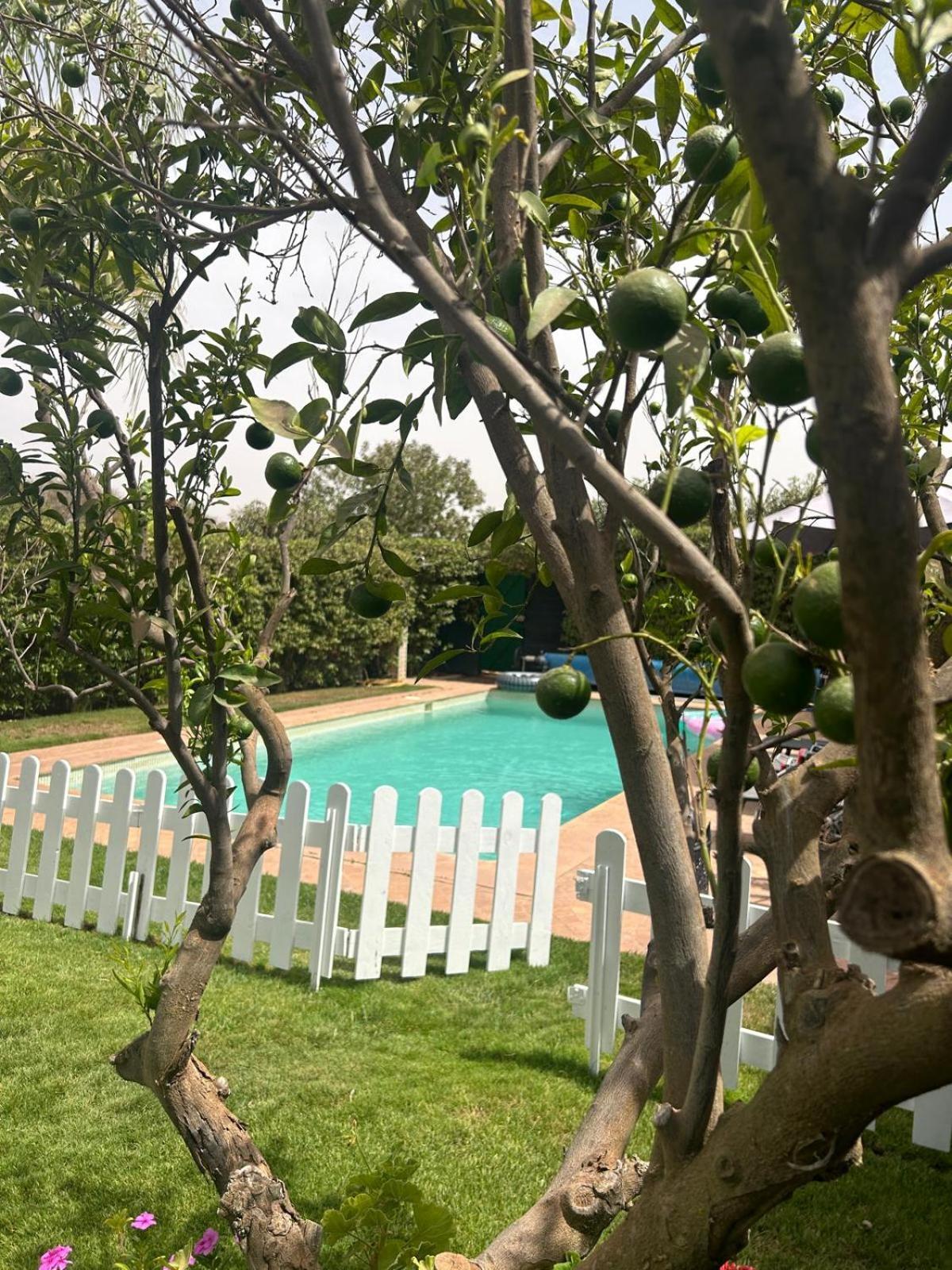 Orangeraie Villa Agadir