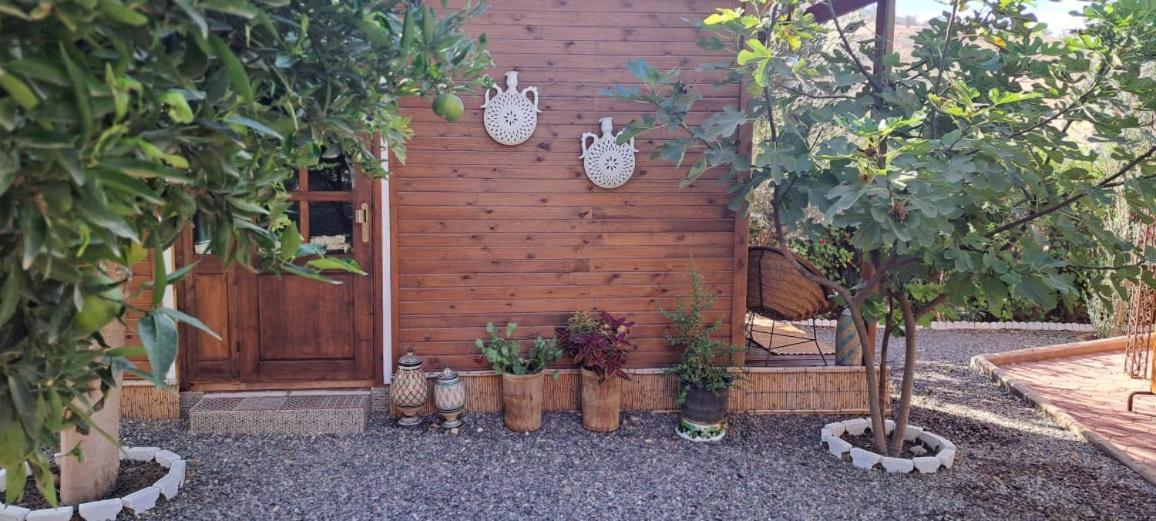 Le D'asmaa Campsite