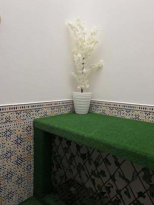 Confortable A Appartement Agadir
